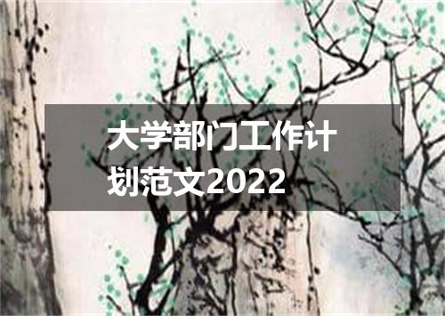 大学部门工作计划范文2022