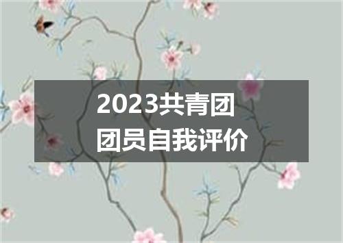 2023共青团团员自我评价