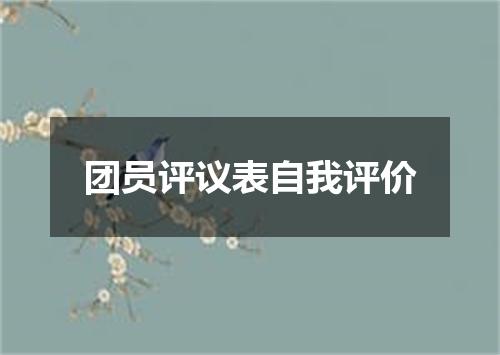 团员评议表自我评价