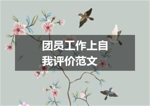 团员工作上自我评价范文