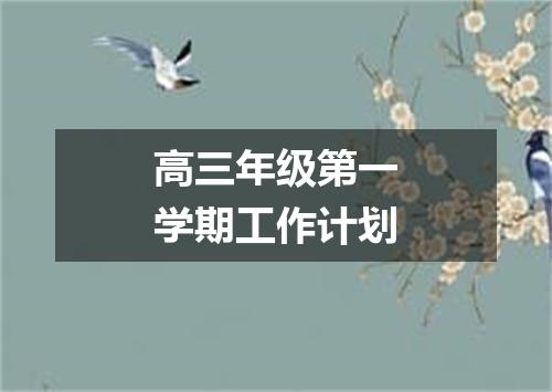 高三年级第一学期工作计划