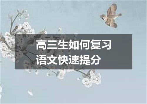 高三生如何复习语文快速提分