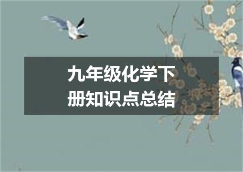 九年级化学下册知识点总结