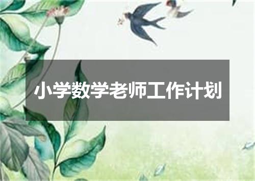 小学数学老师工作计划
