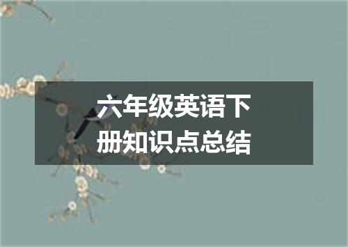 六年级英语下册知识点总结