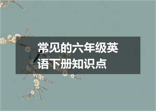 常见的六年级英语下册知识点