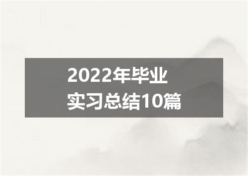 2022年毕业实习总结10篇
