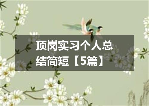 顶岗实习个人总结简短【5篇】