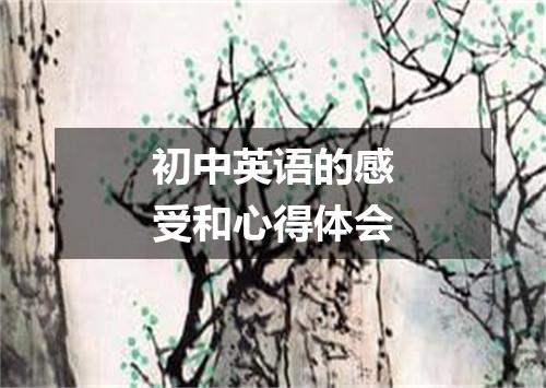 初中英语的感受和心得体会