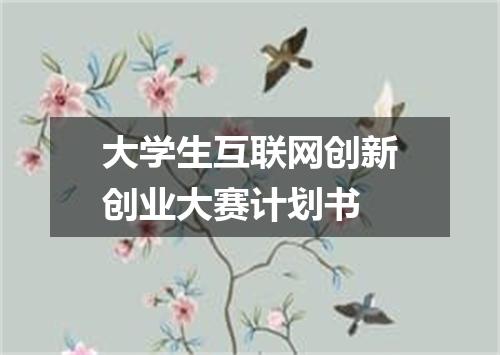 大学生互联网创新创业大赛计划书