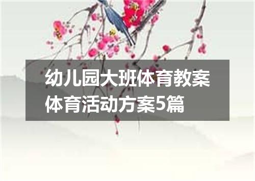 幼儿园大班体育教案体育活动方案5篇
