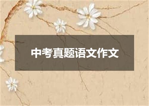 中考真题语文作文