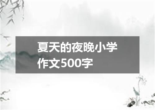 夏天的夜晚小学作文500字