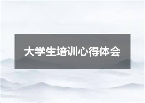 大学生培训心得体会