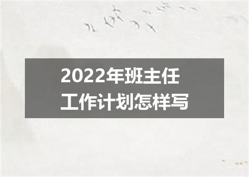 2022年班主任工作计划怎样写
