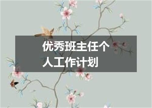 优秀班主任个人工作计划