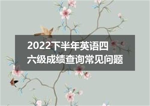 2022下半年英语四六级成绩查询常见问题
