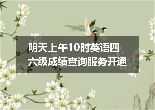 明天上午10时英语四六级成绩查询服务开通