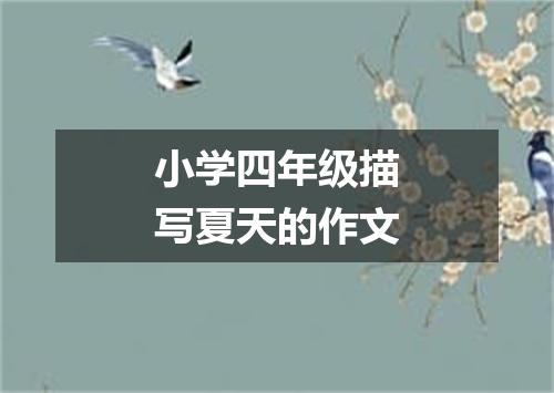 小学四年级描写夏天的作文