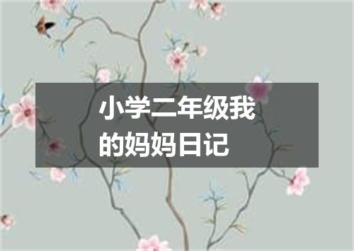 小学二年级我的妈妈日记