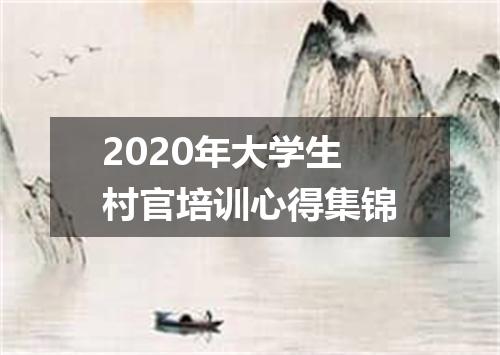 2020年大学生村官培训心得集锦