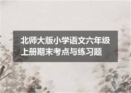 北师大版小学语文六年级上册期末考点与练习题