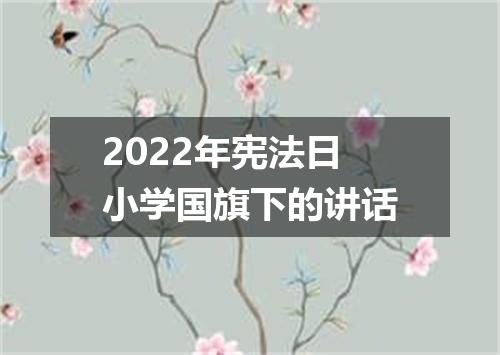 2022年宪法日小学国旗下的讲话