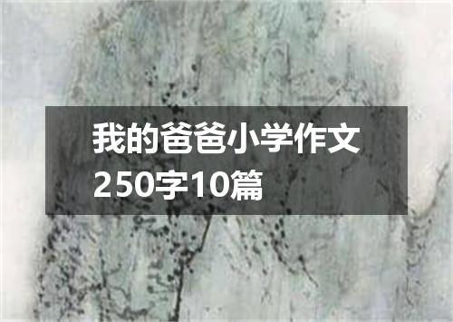 我的爸爸小学作文250字10篇