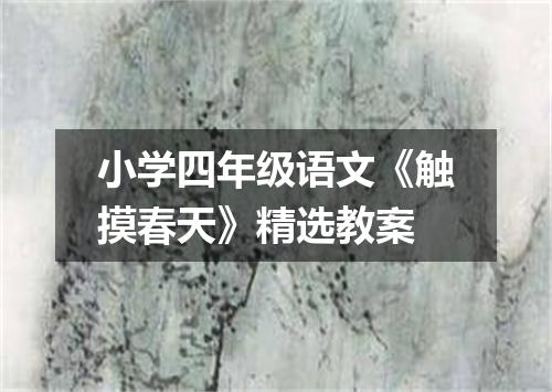 小学四年级语文《触摸春天》精选教案