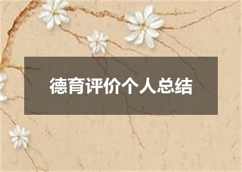德育评价个人总结