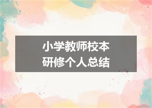 小学教师校本研修个人总结