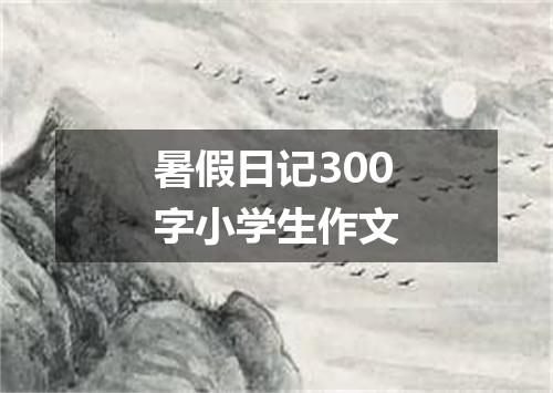 暑假日记300字小学生作文