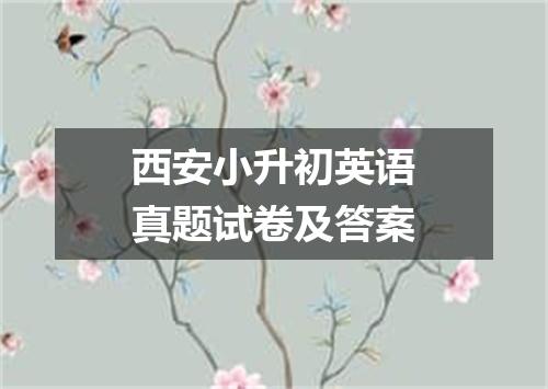 西安小升初英语真题试卷及答案