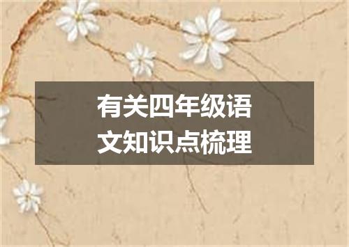 有关四年级语文知识点梳理