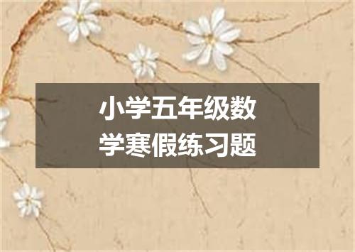 小学五年级数学寒假练习题