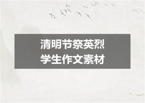 清明节祭英烈学生作文素材