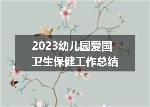 2023幼儿园爱国卫生保健工作总结