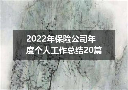 2022年保险公司年度个人工作总结20篇