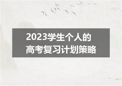 2023学生个人的高考复习计划策略