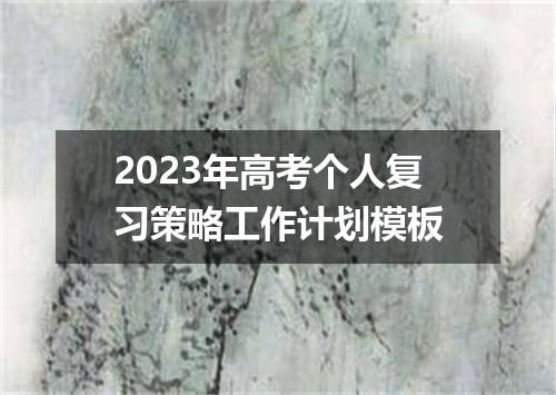 2023年高考个人复习策略工作计划模板