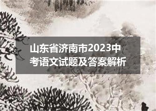 山东省济南市2023中考语文试题及答案解析