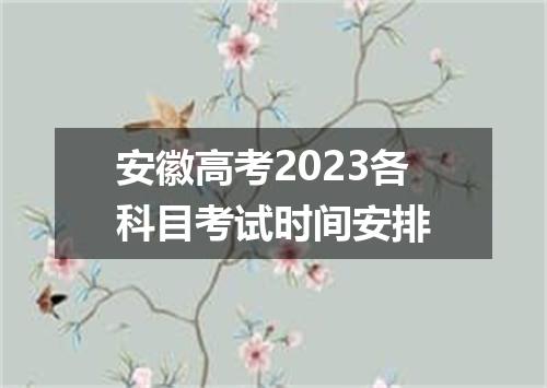 安徽高考2023各科目考试时间安排