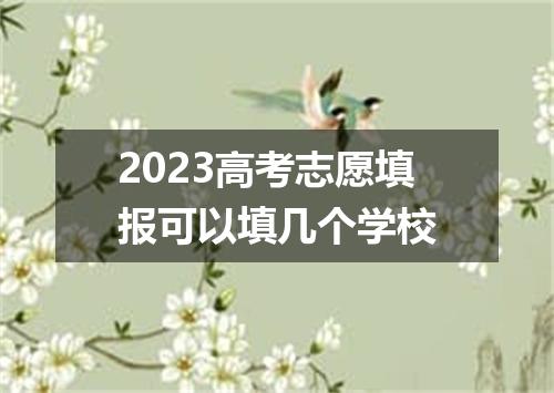 2023高考志愿填报可以填几个学校