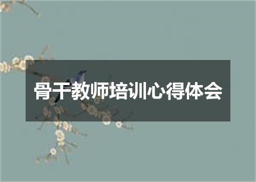 骨干教师培训心得体会