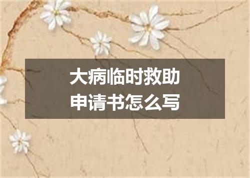 大病临时救助申请书怎么写