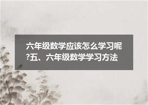 六年级数学应该怎么学习呢?五、六年级数学学习方法