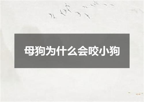 母狗为什么会咬小狗