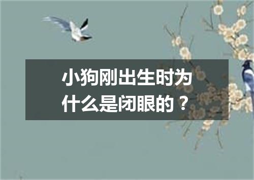 小狗刚出生时为什么是闭眼的？