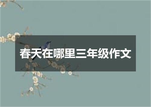 春天在哪里三年级作文