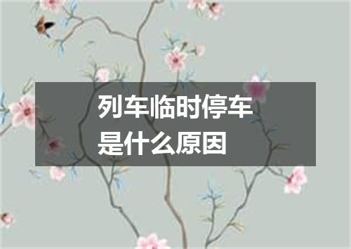 列车临时停车是什么原因